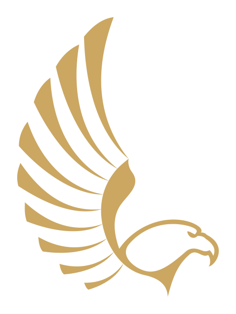 Buenos Aires International Film Festival – RTHK's Miss Adventure 香港電台冒險小姐